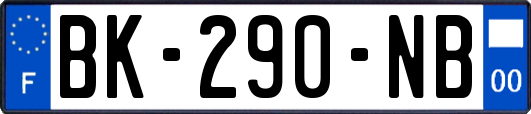 BK-290-NB