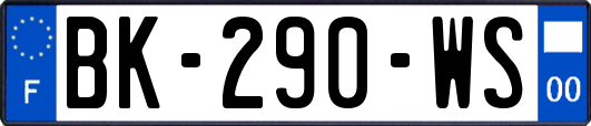 BK-290-WS