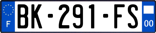 BK-291-FS