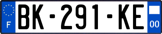 BK-291-KE