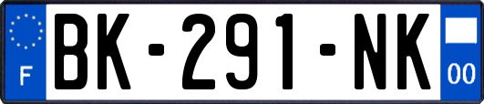 BK-291-NK