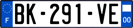 BK-291-VE