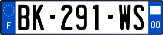 BK-291-WS