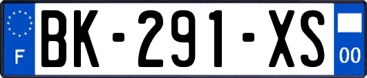 BK-291-XS