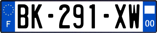 BK-291-XW