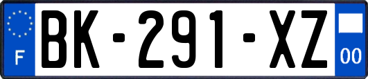 BK-291-XZ
