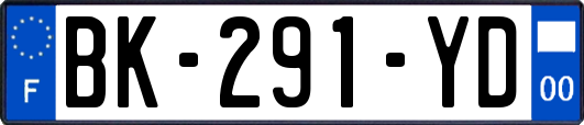 BK-291-YD
