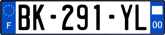 BK-291-YL