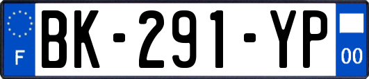 BK-291-YP