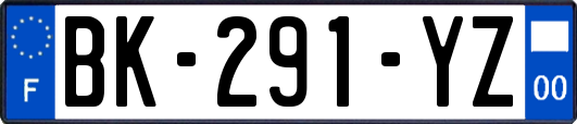 BK-291-YZ