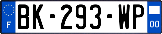 BK-293-WP