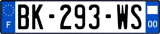 BK-293-WS