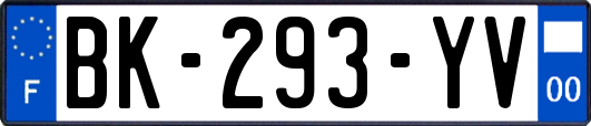 BK-293-YV