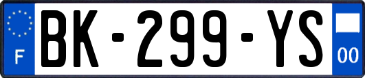 BK-299-YS