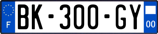 BK-300-GY