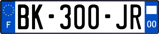 BK-300-JR