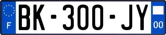 BK-300-JY