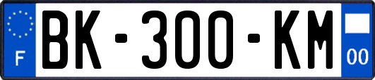 BK-300-KM