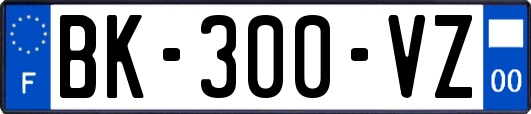 BK-300-VZ