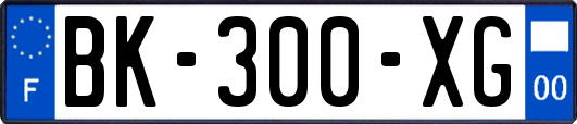 BK-300-XG