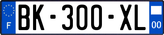 BK-300-XL