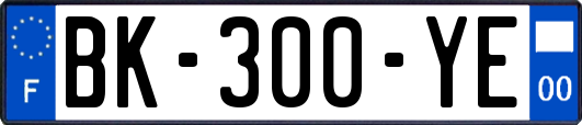 BK-300-YE