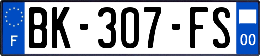 BK-307-FS