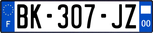 BK-307-JZ