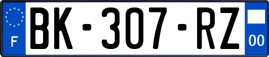 BK-307-RZ