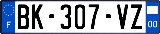 BK-307-VZ