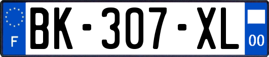 BK-307-XL