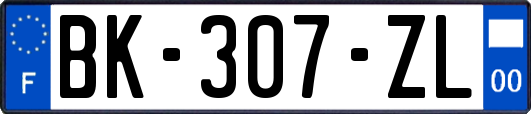 BK-307-ZL