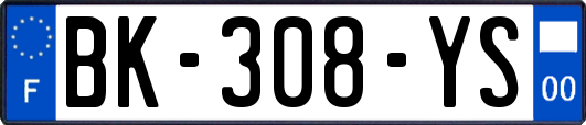 BK-308-YS