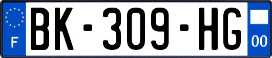 BK-309-HG