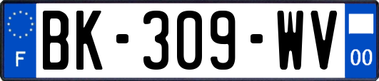 BK-309-WV