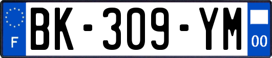 BK-309-YM