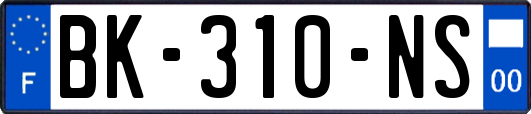 BK-310-NS