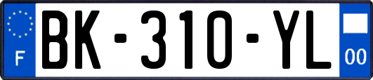 BK-310-YL