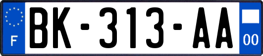 BK-313-AA