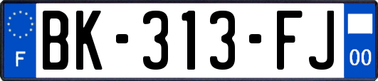 BK-313-FJ