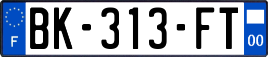 BK-313-FT