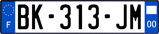 BK-313-JM