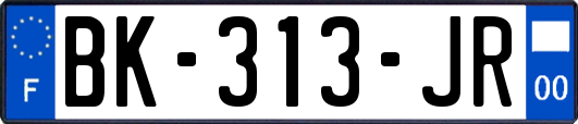 BK-313-JR