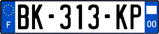 BK-313-KP