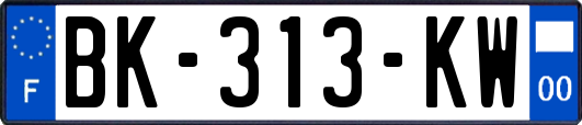 BK-313-KW