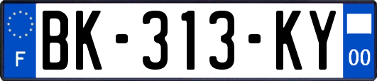 BK-313-KY