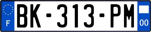 BK-313-PM