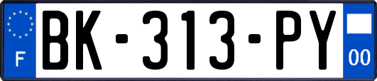 BK-313-PY