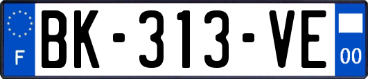 BK-313-VE