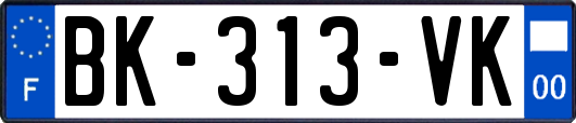 BK-313-VK